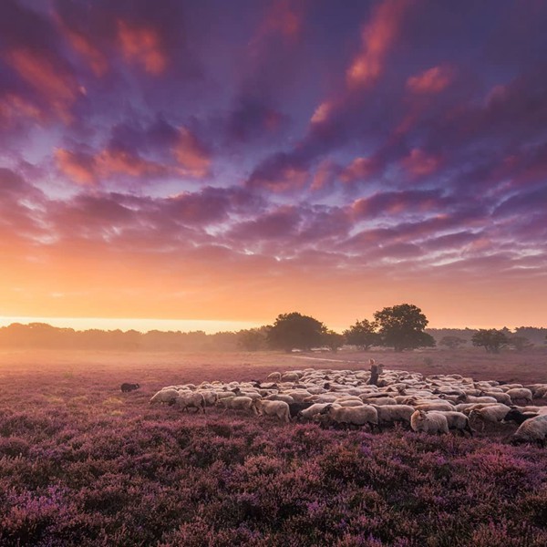 雙子座珍惜白羊座嗎女生
