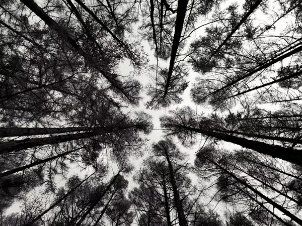 白羊座想分手的時候絕情嗎