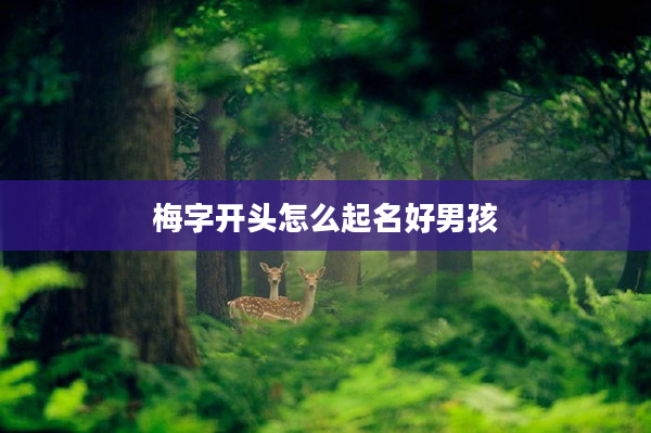 2梅字開頭怎么起名好男孩