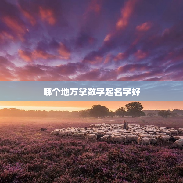 2哪個(gè)地方拿數(shù)字起名字好