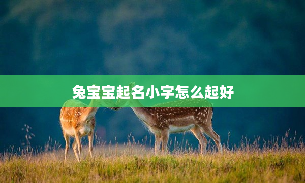2兔寶寶起名小字怎么起好