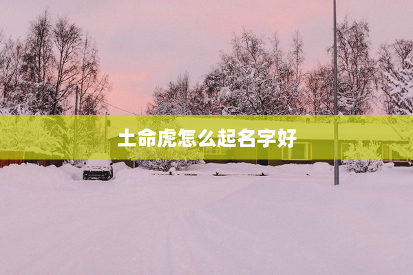 2土命虎怎么起名字好