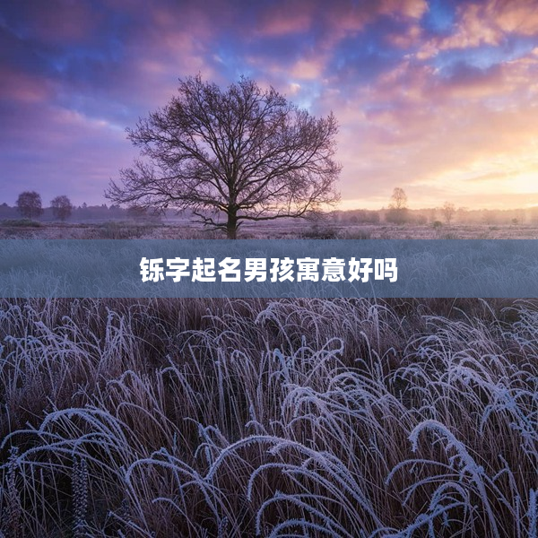鑠字起名男孩寓意好嗎
