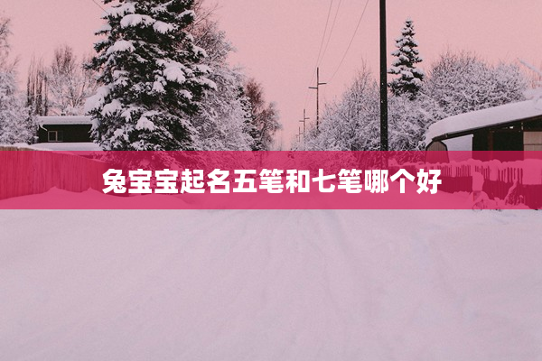 2兔寶寶起名五筆和七筆哪個好
