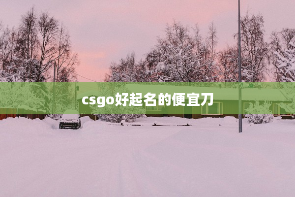 2csgo好起名的便宜刀