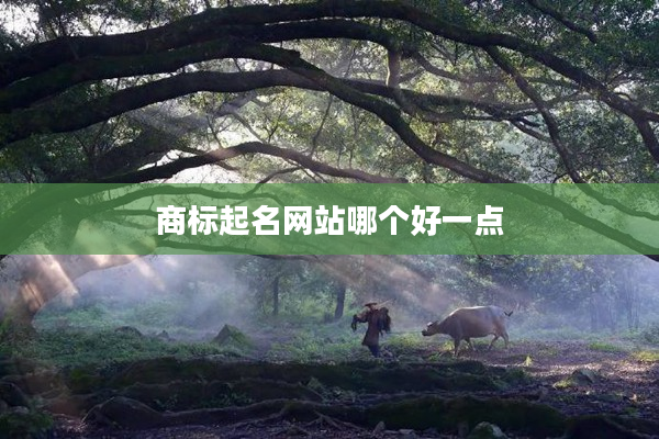 2商標起名網站哪個好一點