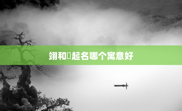 翊和熤起名哪個(gè)寓意好