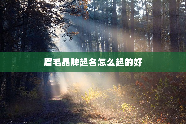 2眉毛品牌起名怎么起的好