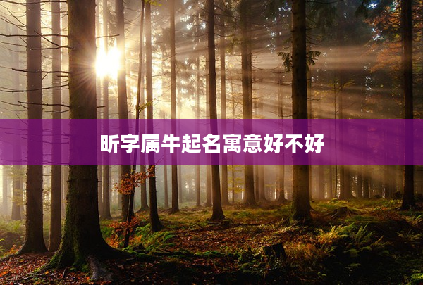 昕字屬牛起名寓意好不好