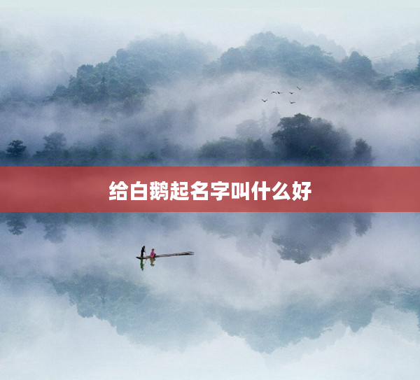 2給白鵝起名字叫什么好