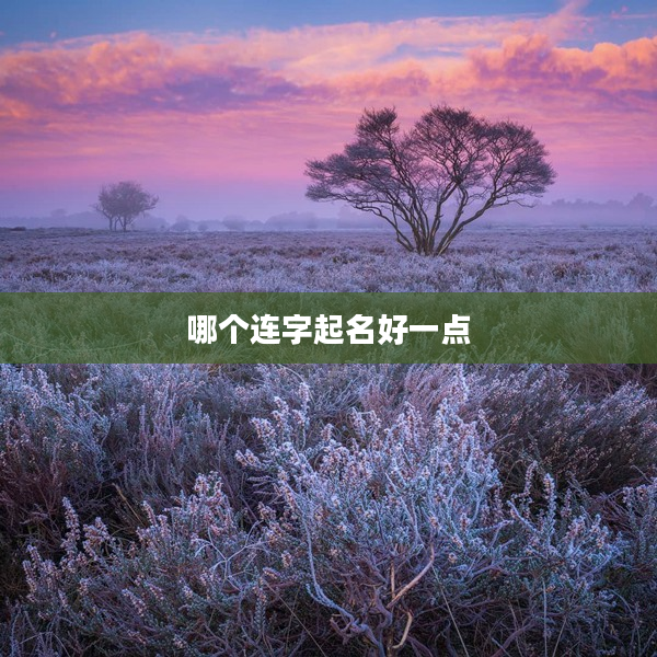 2哪個連字起名好一點
