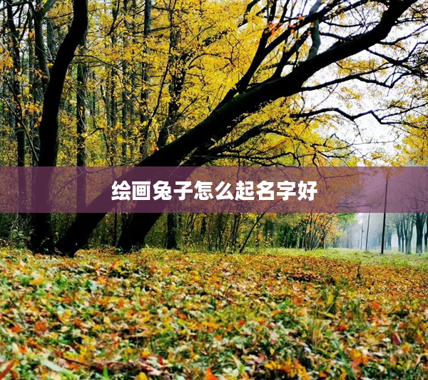 2繪畫兔子怎么起名字好