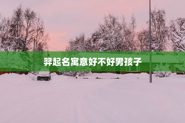 羿起名寓意好不好男孩子