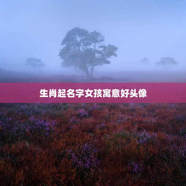 2生肖起名字女孩寓意好頭像