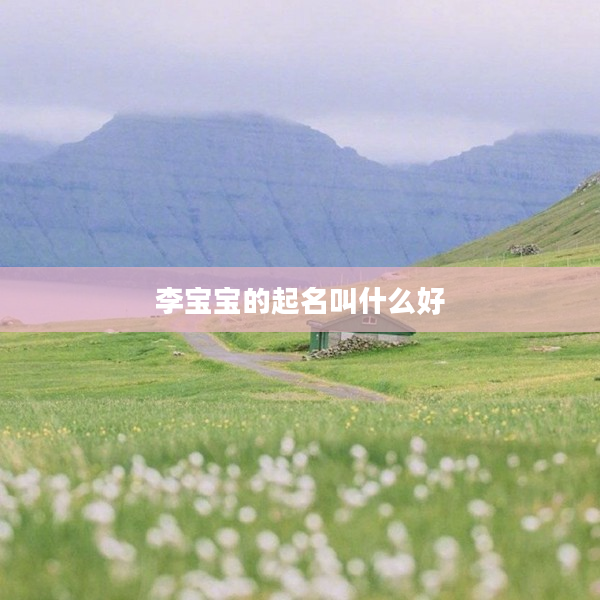 2李寶寶的起名叫什么好