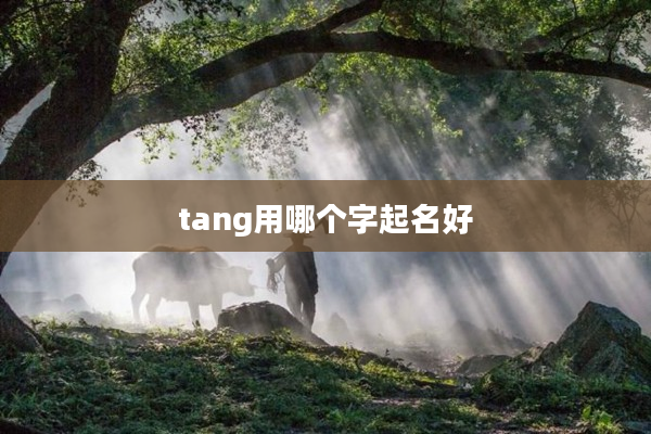 tang用哪個字起名好