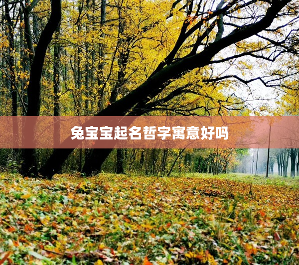 2兔寶寶起名哲字寓意好嗎