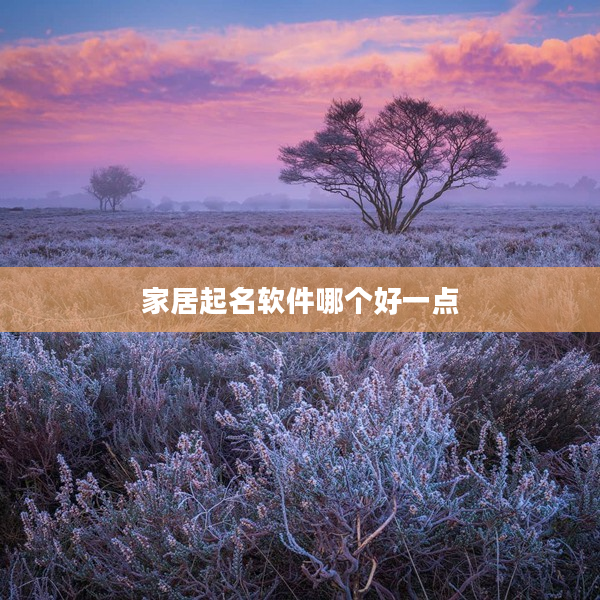 2家居起名軟件哪個好一點