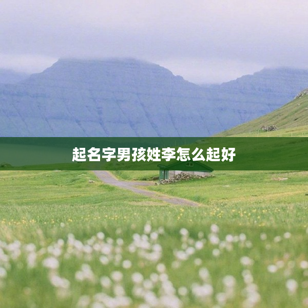 2起名字男孩姓李怎么起好