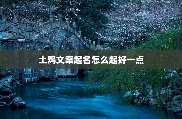 2土雞文案起名怎么起好一點