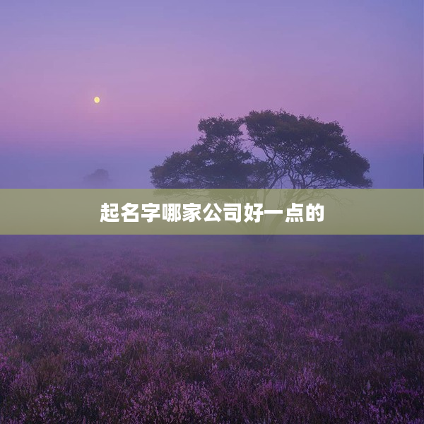2起名字哪家公司好一點(diǎn)的
