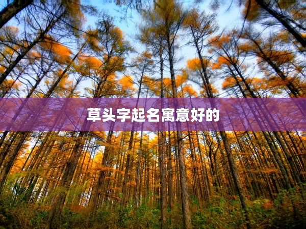 2草頭字起名寓意好的