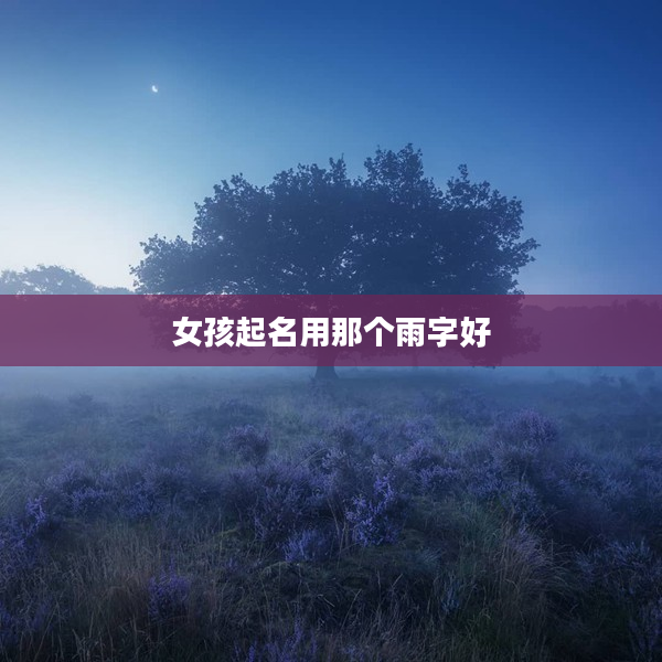 2女孩起名用那個雨字好