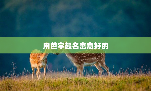 2用芭字起名寓意好的