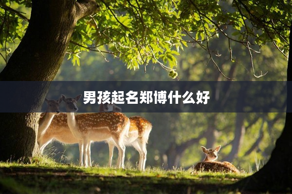 2男孩起名鄭博什么好