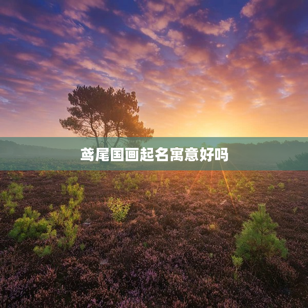 鳶尾國(guó)畫起名寓意好嗎