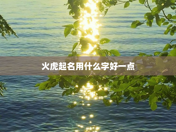 2火虎起名用什么字好一點