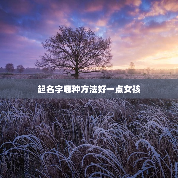 2起名字哪種方法好一點女孩