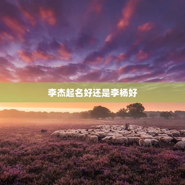 2李杰起名好還是李楊好