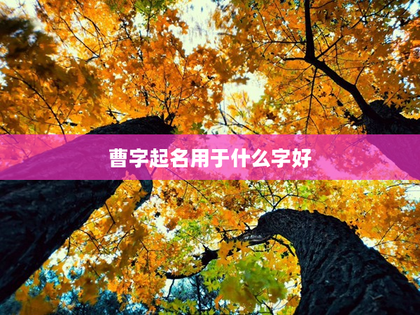 2曹字起名用于什么字好