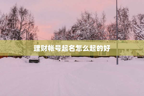 2理財帳號起名怎么起的好