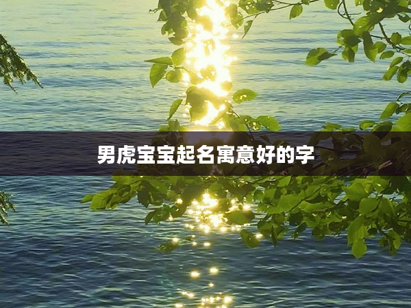 2男虎寶寶起名寓意好的字