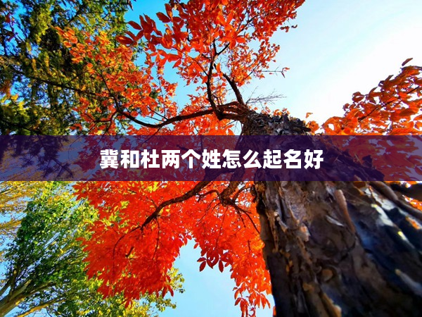 2冀和杜兩個姓怎么起名好