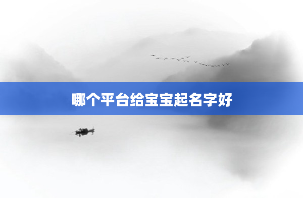 2哪個平臺給寶寶起名字好