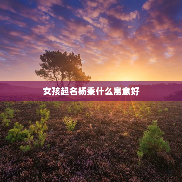 2女孩起名楊秉什么寓意好