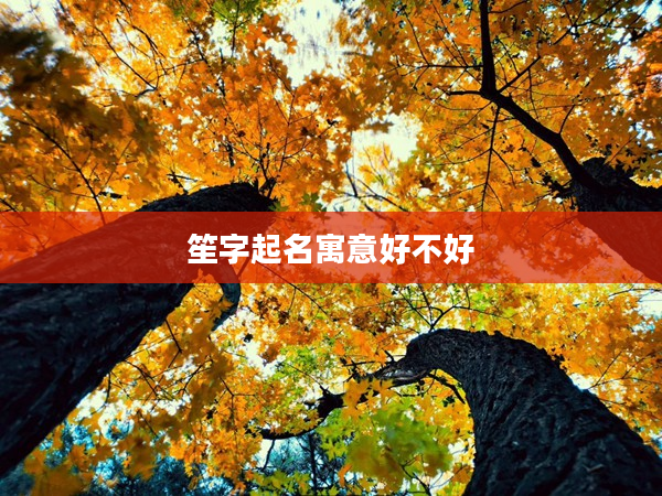 笙字起名寓意好不好