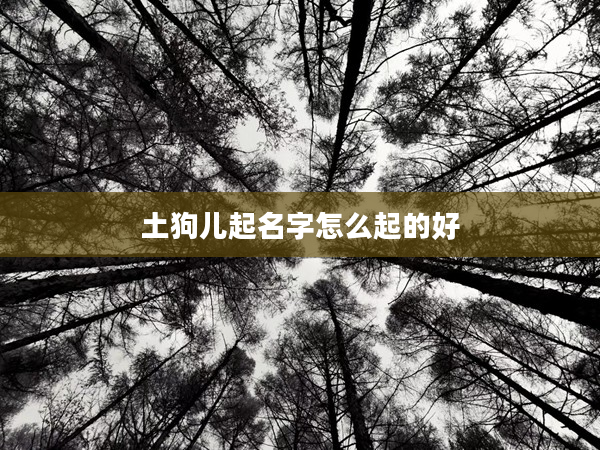2土狗兒起名字怎么起的好