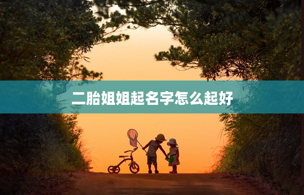 2二胎姐姐起名字怎么起好