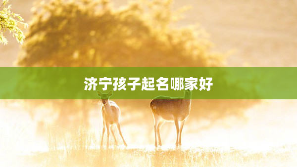 2濟寧孩子起名哪家好