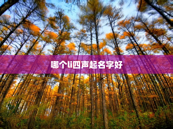 2哪個li四聲起名字好