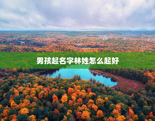 2男孩起名字林姓怎么起好