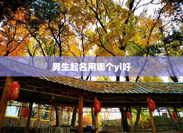 男生起名用哪個yi好