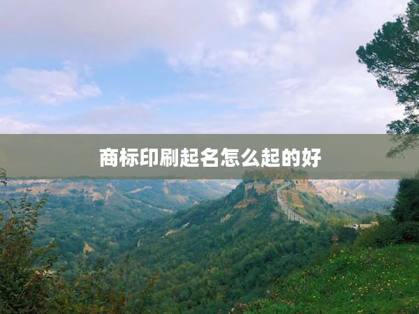 2商標印刷起名怎么起的好