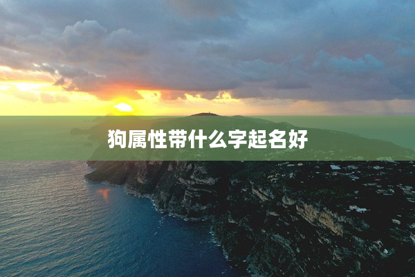 2狗屬性帶什么字起名好