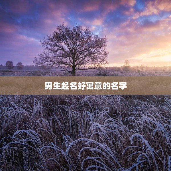 2男生起名好寓意的名字