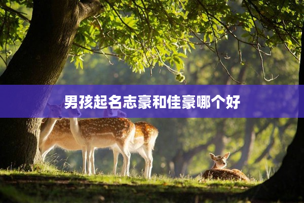 2男孩起名志豪和佳豪哪個好